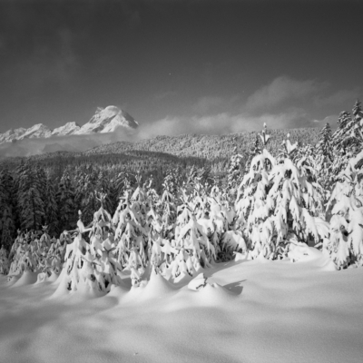 <strong>'WINTERSCAPE'</strong> <br>Tirol, Austria. 2023. // #23015120-06