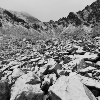 'FRESH SNOW III' // Tirol, Austria. 2025 // #25063810